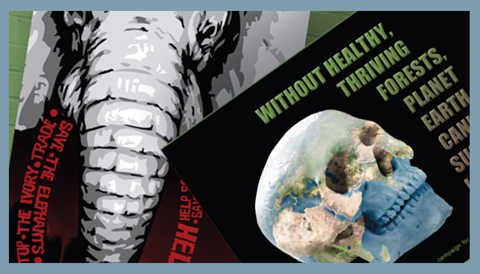 Corin Brennan Social Awareness Posters