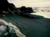 black sand beach