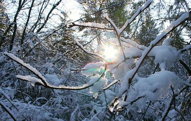 Kal Park Winter