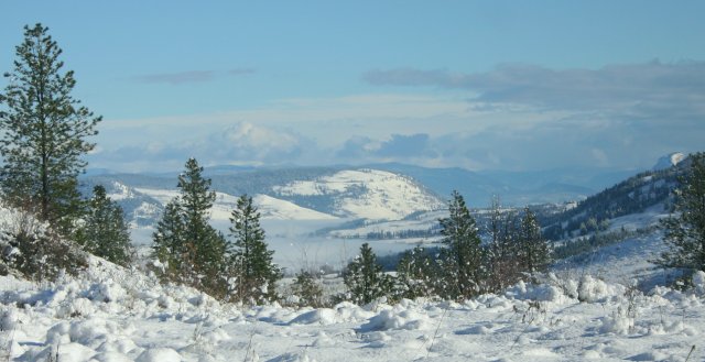 Kal Park Winter
