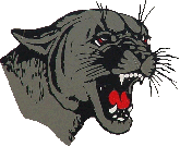 cougar
