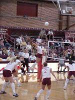 FSU VOLLEYBALL