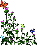 THISTLE.GIF (3734 bytes)
