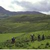 the Dingle Way