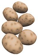I think Robert's head looks like a potato...Robert disagrees...