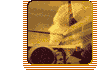 747