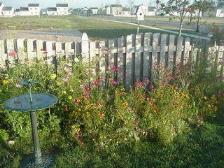A portion of the Butterfly Garden