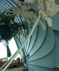 Fairies and angels inhabit our shade garden