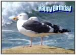 No:08 - Sea Gull