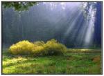 No:02 - Light Ray