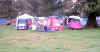 pink.jpg (134009 bytes)