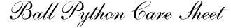 Ball Python Care Sheet
