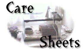 Care Sheets