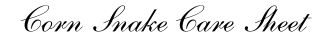 Corn Snake Care Sheet