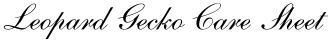 Leopard Gecko Care Sheet