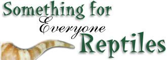 Something for Everyone Reptiles