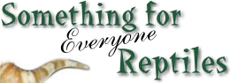 Something for Everyone Reptiles