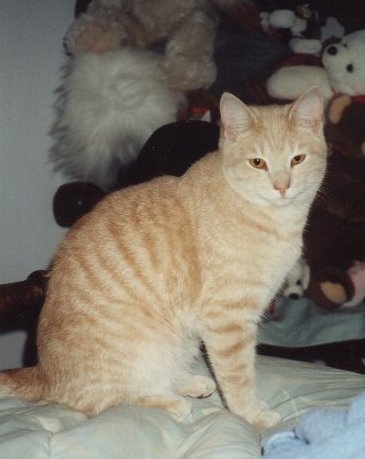 me arthur
