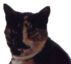 me moonpie