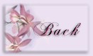 Back to Jade's site