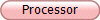 Processor