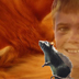 Crookshanks' Rightful Prey