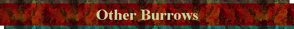 Other Burrows