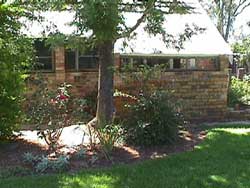 Our garden cattery