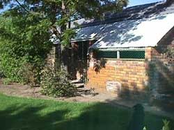 Our garden cattery