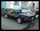 Black 1995