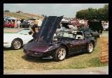 Purple Flame 1994