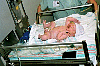 01411A.gif