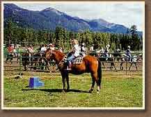Horseback Riding Lessons