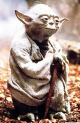 yoda.jpg (11909 bytes)