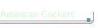 American Cockers