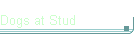 Dogs at Stud