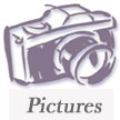 Wedding pictures!