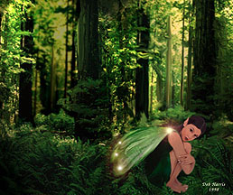 woodsfairy.jpg (29k)