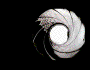Think Twice, 007!