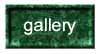 pet gallery