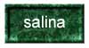 Salina