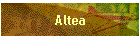 Altea