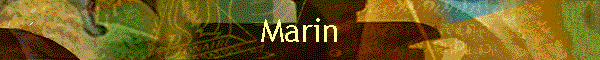 Marin