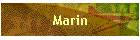 Marin