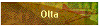 Olta