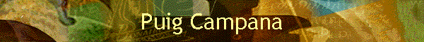Puig Campana
