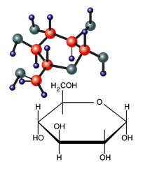 glucose