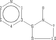 nicotina-gif (866 bytes)