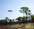 saucer-hawkins_lo.jpg