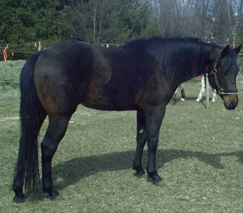 Pete - April '04